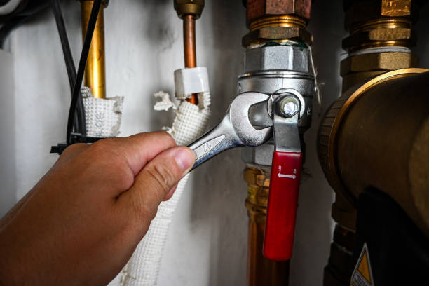 Best Shower Repair Services  in Towanda, KS